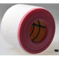 HAVA FİLİTRESİ  4G0133843H