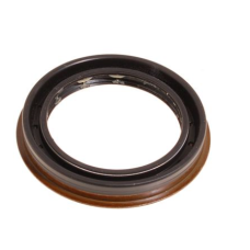 ARAZİ ŞANZIMAN KEÇE DIŞ IZB500020 C