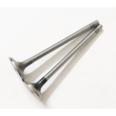 EGZOZ SİBOP LR073779 S