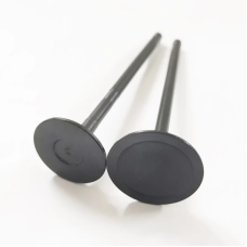 EGZOZ SİBOP LR030370